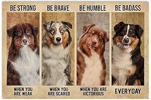 Australian Shepherd Metal Tin Sign: A Sturdy and Quirky Wall Decor