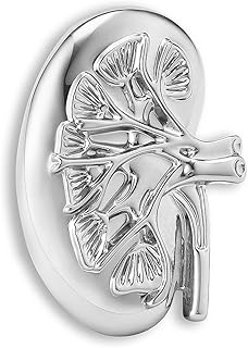 Kidney Anatomy Enamel Brooch Pin Gold Renal Lapel Badge Endocrinology Urology Jewelry for Doctors Nurses Medical Students