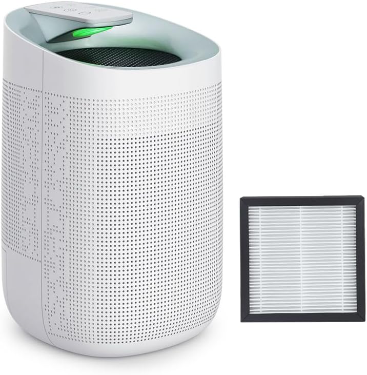 1000ml Air Dehumidifier w/Purifying Function for Home (800 Sq.Ft), Small Dehumidifiers with WIFI APP Control, Auto Shut Off, True HEPA Filter, Ideal for Closet Bedroom Bathroom 2 Filter