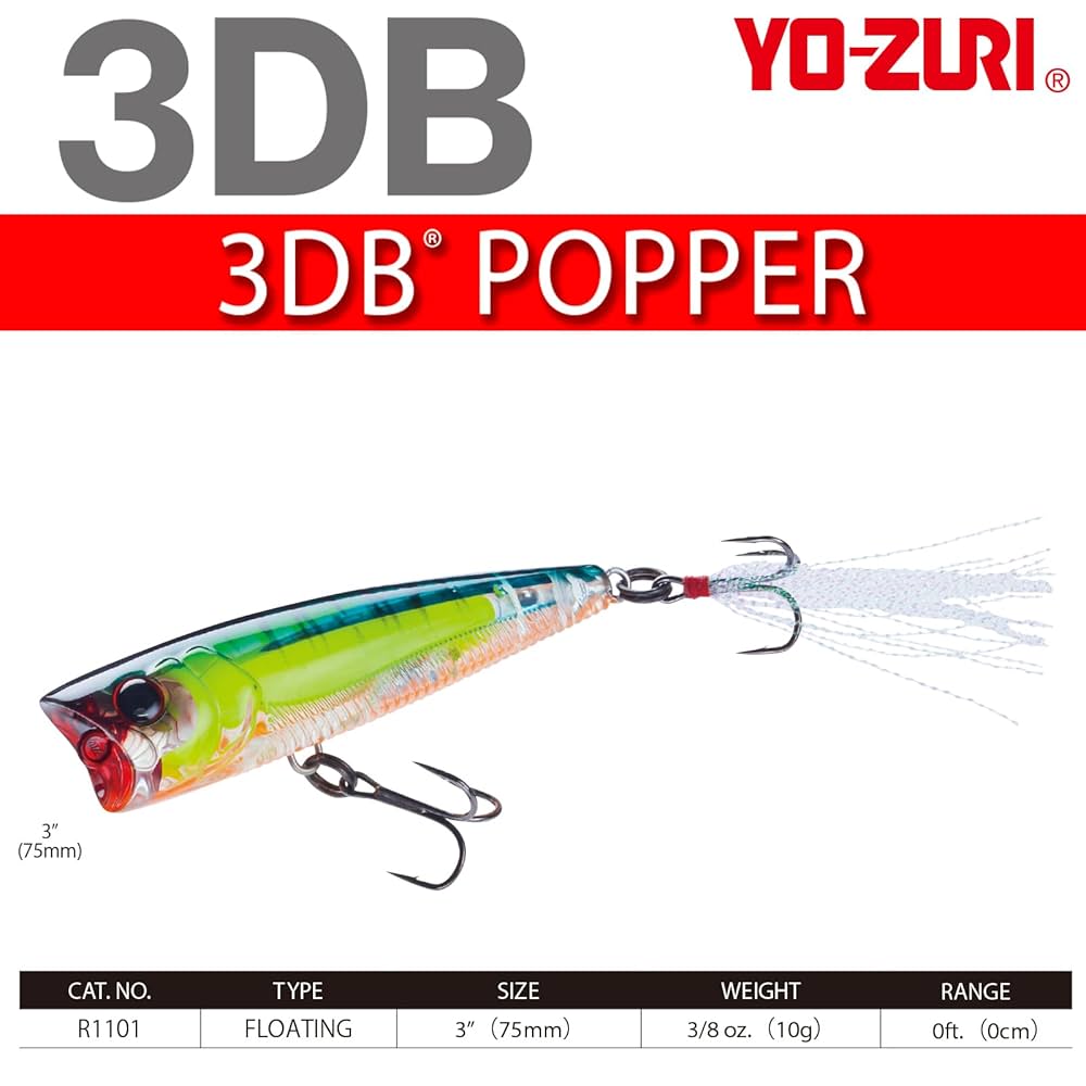 Amazon.com : Yo-Zuri 3DB Popper (F) 75MM 3