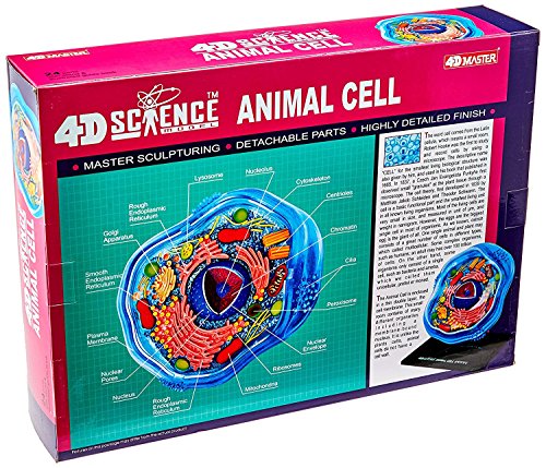 Image of Famemaster 4D-Science Animal Cell Anatomy Model Coral, Black, Mint Green, Beige, Gold, Rose Gold