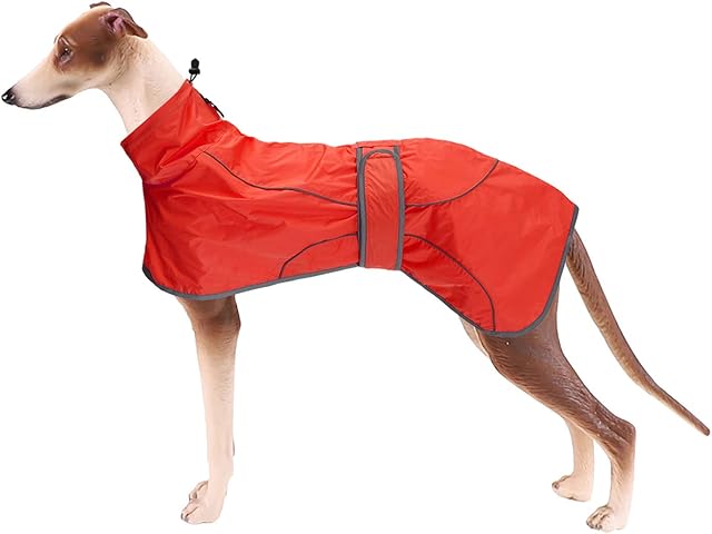 Greyhound Raincoat, Whippet Raincoats with Reflective Bar, Rain/Waterproof, Adjustable Vest - Stylish Dog Coat for Greyhounds, Lurchers and Whippets - Red - XS