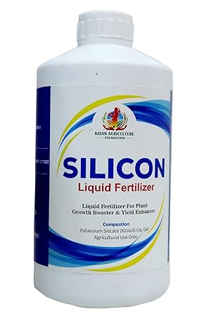 Silicon liq Fertilizer For Plant | Fertilizer For All INDOOR and OUTDOOR Plants | Plant Growth Enhancer | Improve Plant Root System (10 Lit)