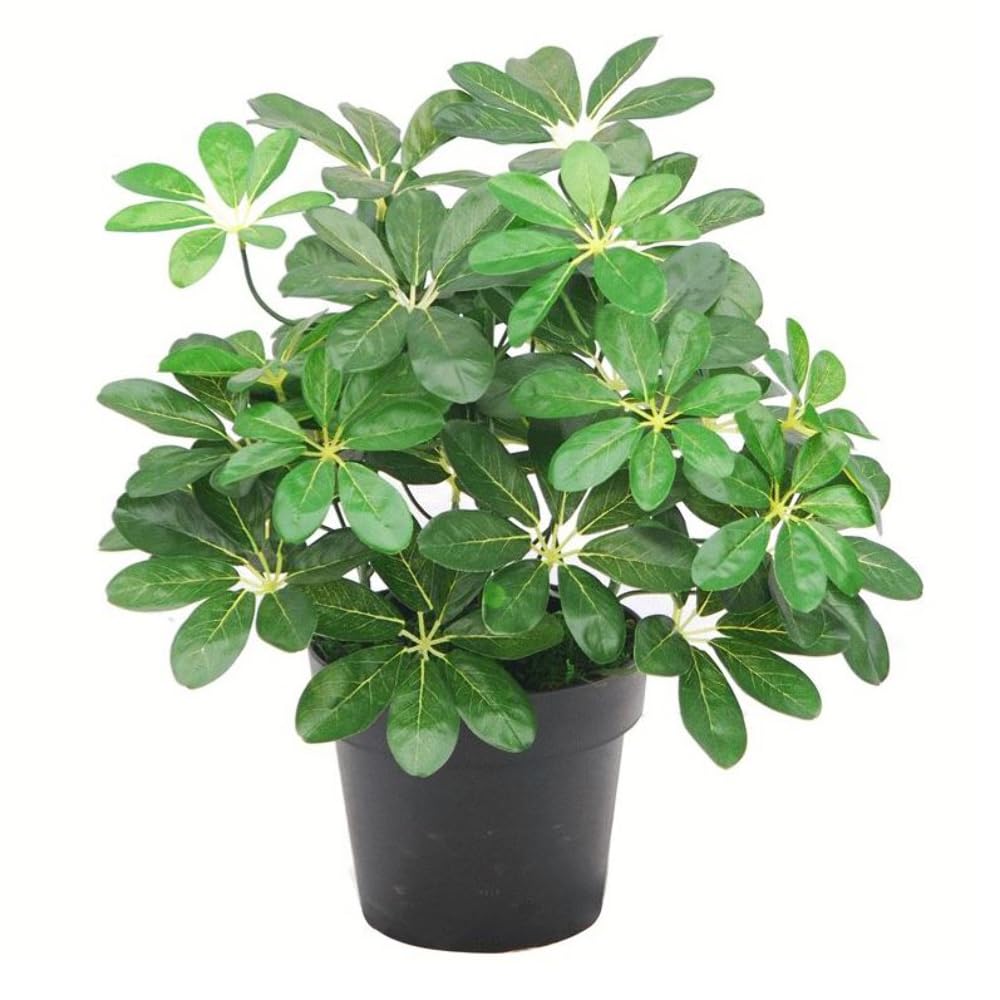 Botanik Dark Arboricola Plant Umbrella Artificial Tree 55cm - Plastic