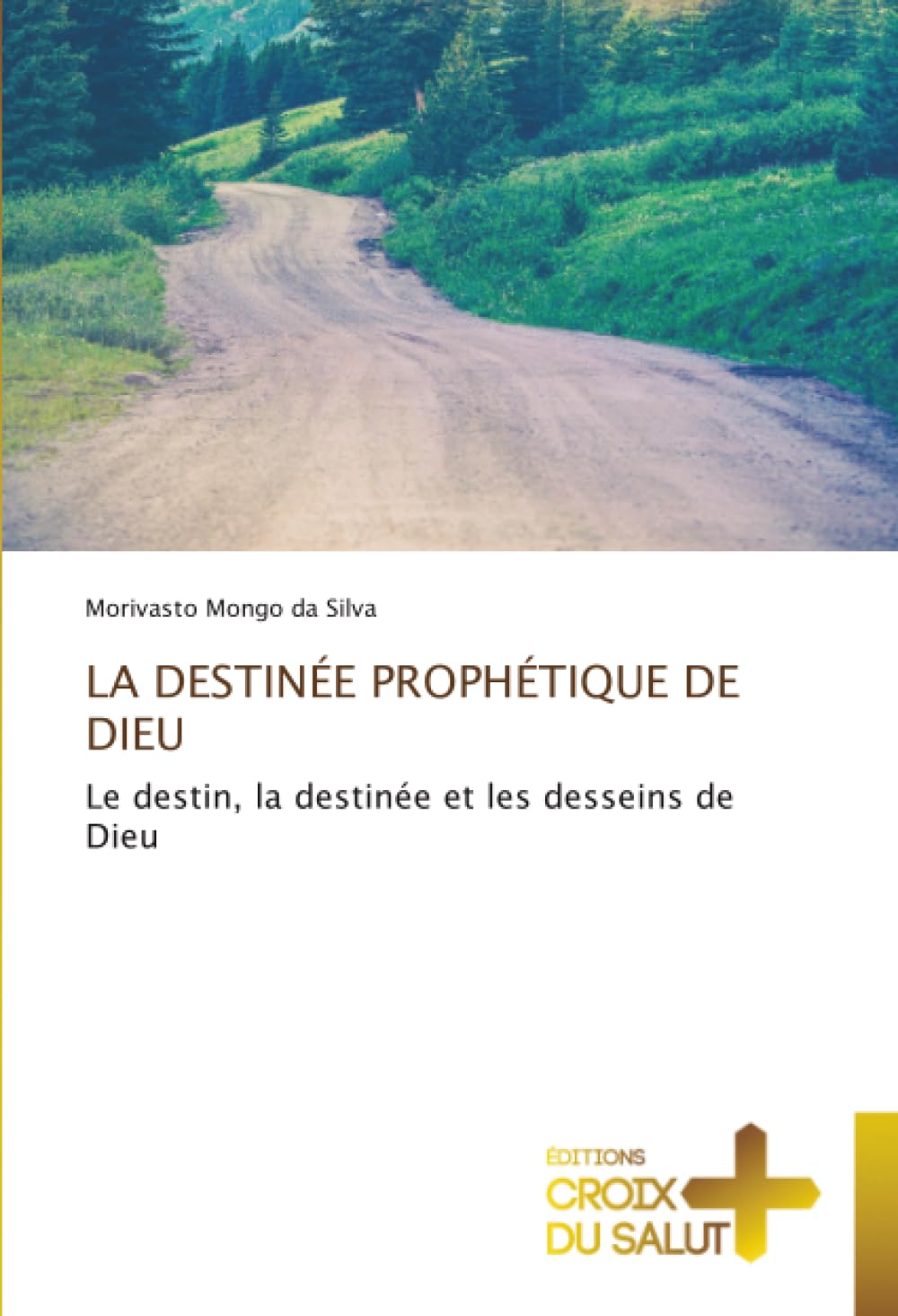 LA DESTINÉE PROPHÉTIQUE DE DIEU: Le destin, la destinée et les desseins de Dieu