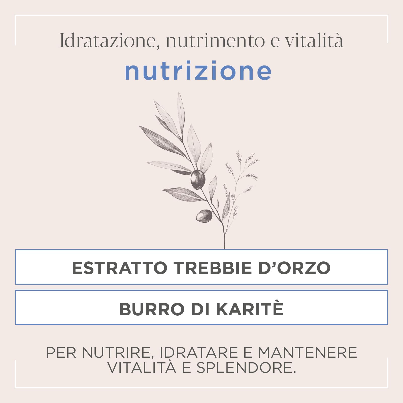 Actyva Nutrizione Cond Acondicionador para cabello seco y largo, con avena y aceite de oliva, efecto desenredante - 1000 ml