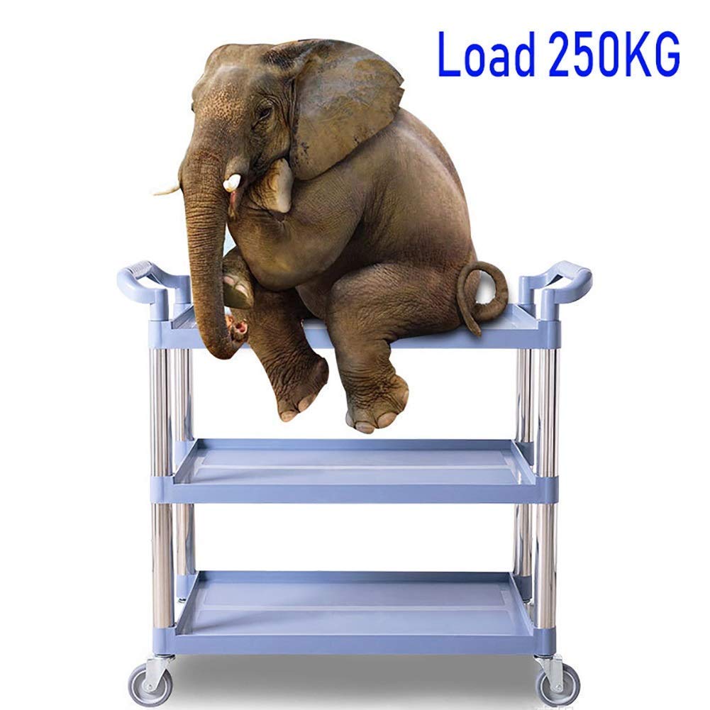 Service de Nettoyage en Plastique Pour Restaurant Collection Chariot Roulant, Capacité 50Kg, Gris/Noir, Noir, DCNGXUKLK