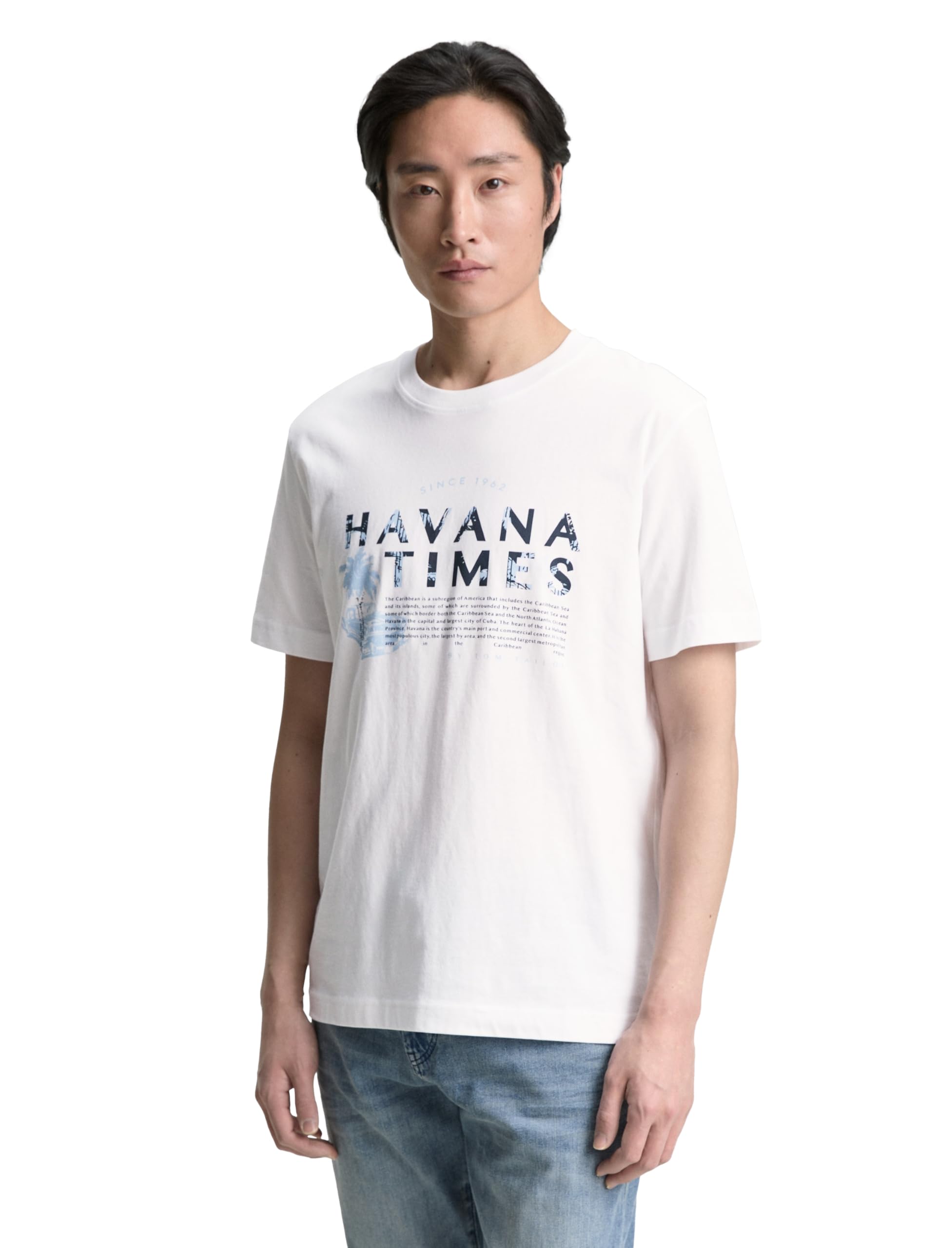 TOM TAILOR Herren Strickpullover mit V-Ausschnitt