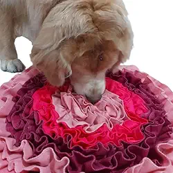 TAPETE DE ENRIQUECIMENTO AMBIENTAL PARA CACHORRO GATO COMEDOURO LENTO PARA PET BRINQUEDO INTERATIVO CÃES