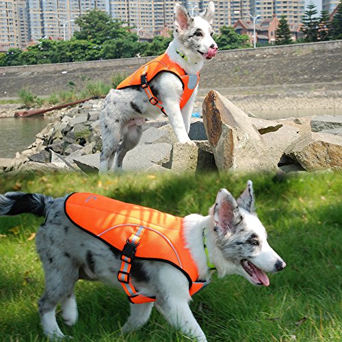 Smartelf Dog Cooling Vest,Dog Cooling Coat,Evaporative Swamp Cooler Jacket Safety Reflective Vest For Large Dogs Walking Outdoor Hunting Training Camping Orange-Xl #TOP5