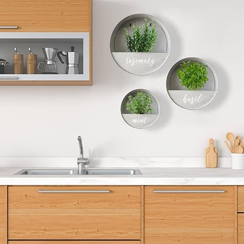 Miniatura 7 de Modern Home - Maceta redonda para suculentas de acero galvanizado  zinc para montaje en la pared, para interiores y exteriores, recipiente para