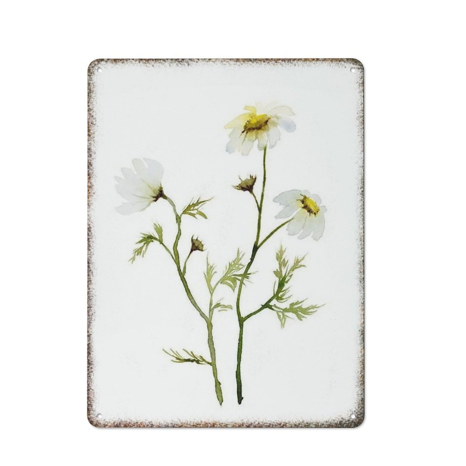 Large Size Watercolor Daisy Floral Metal Painting Country Home Vintage Horticulture Art Wall Decor 8x12 Inch