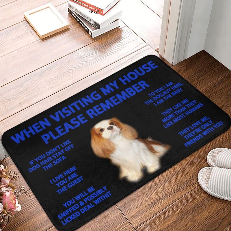 Paillasson Cavalier King Charles idée cadeau pendaison de crémaillère idéal