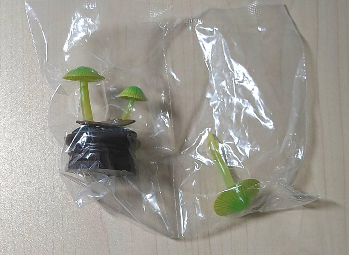 Amazon.co.jp: きのこ立体図鑑3 ワカクサダケ : おもちゃ