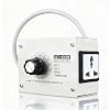 Voltage Regulator, 4000W AC 220V Electronic Voltage Regulator, SCR High Precision Adjustable Single Phrase Motor Fan Speed Controller Dimmer for Electrical Equipment in Households