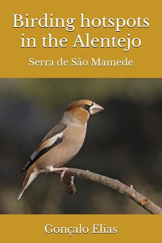 Birding hotspots in the Alentejo: Serra de São Mamede (Portuguese Edition)