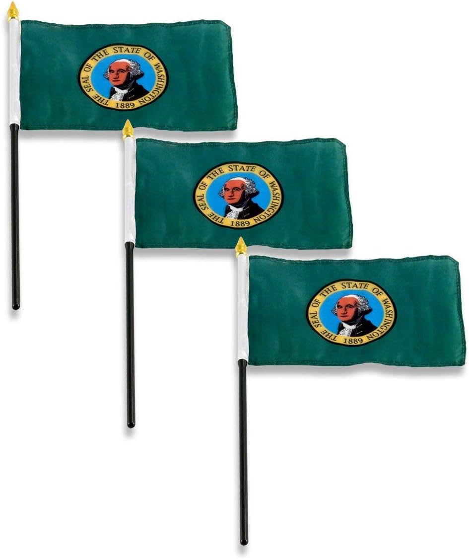 Washington Flag 4 x 6 inch (3 PK)