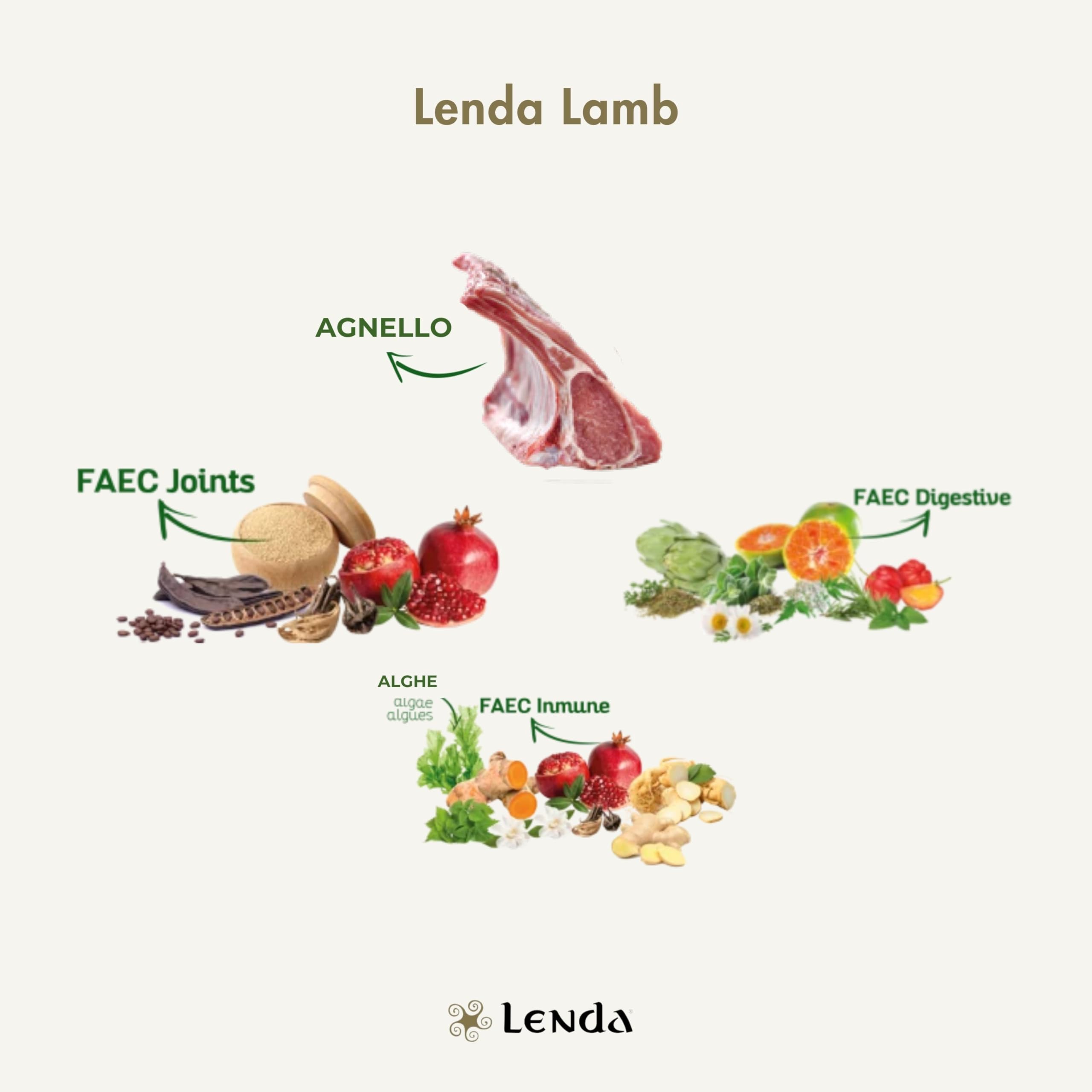 Lenda Lamb 12 kg - Crocchette per Cani Adulti con Attività Normale - Ricche di Agnello e Arricchite con Olio di Salmone - Alimento Gustoso e Nutriente per Cani dal Palato Esigente