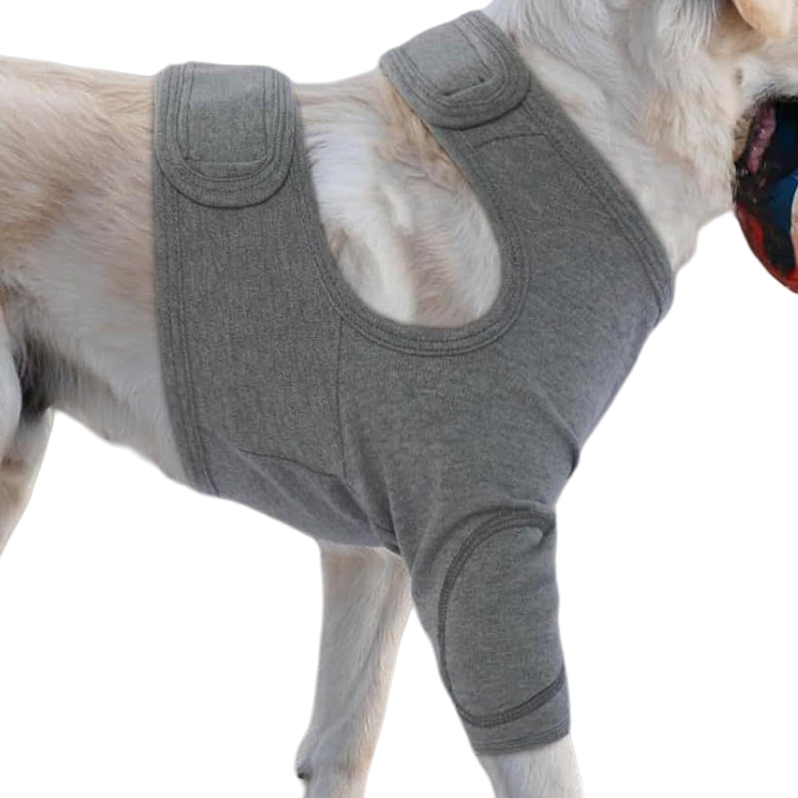 Protection respirante pour petits chiens ayant besoin d'un manchon de jambe flexible