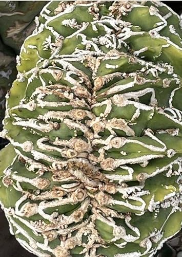 �V��[�u���ԉ������X�g10��