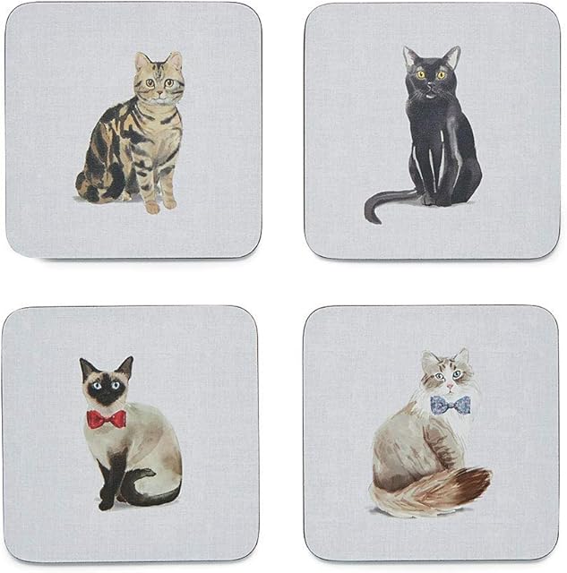 Curious Cats Set of 4 Coasters