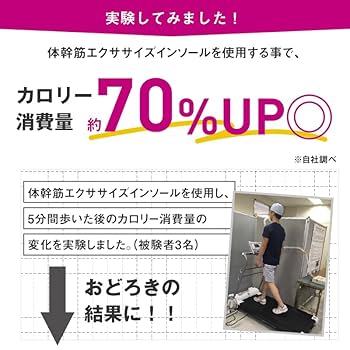 Amazon.co.jp: プランドゥ 体幹筋エクササイズインソール ツイン