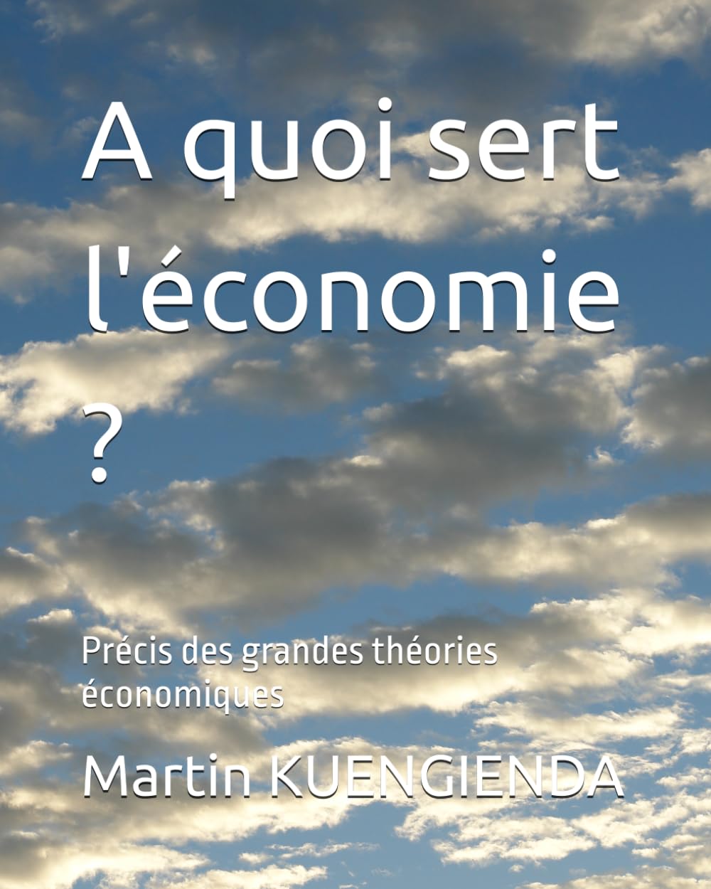 A quoi sert l'économie ?: Précis des grandes théories économiques (Point de vue économique)