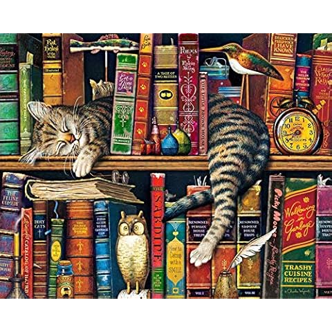 TUMOVO Paint by Numbers for Adults, DIY Oil Painting Charles Wysocki Adult Paint by Numbers Kits on Canvas Wall Decor, Frederick The Literate Painting Kits for Kids, Cats & Books - 16"x20" Cover