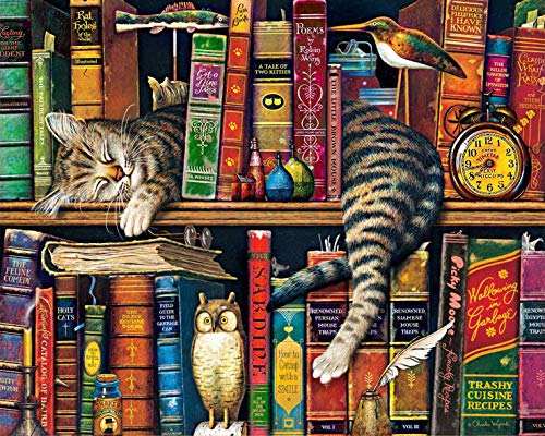 TISHIRON Dipingere con i numeri, per adulti, gatti e libri fai da te, set di pittura acrilica con pennello e pigmento acrilico, pittura a olio per amici, famiglia, 16x20 po