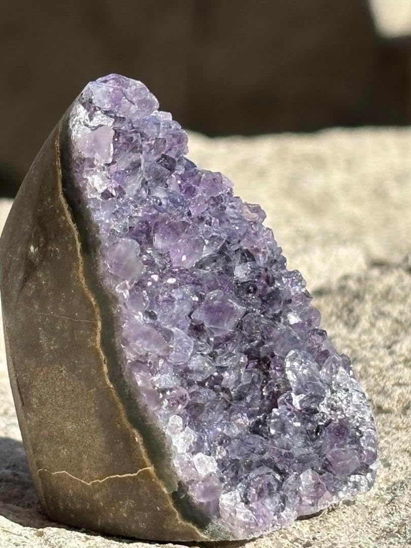 アメジストミニドーム② MR 73 ZSUPER73-Z Miami LE | Speedway