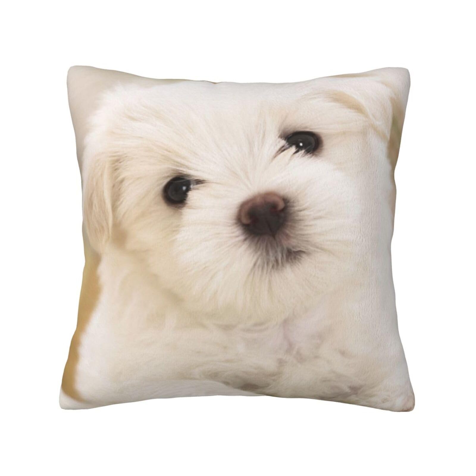 YFSGDLBN Cute Maltese Puppy printed Velvet pillowcase decorative Cushion Cover