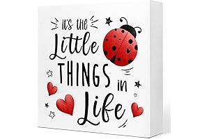 It's The Little Things in Life Ladybug Sign