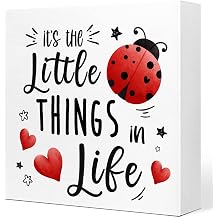 Its The Little Things in Life Inspirational Wooden Plaque Sign Desk Decor,Rustic Spring Summer Ladybug Heart Wood Block Sign Desk Decorations for Home Living Room Garden Shelf Table Decor