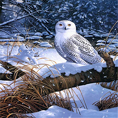 TTTTYYY Puzzle für Erwachsene -Schneeeule- Helle und farbenfrohe Puzzles Puzzle Klassische Puzzle Stressabbau Spielzeug…