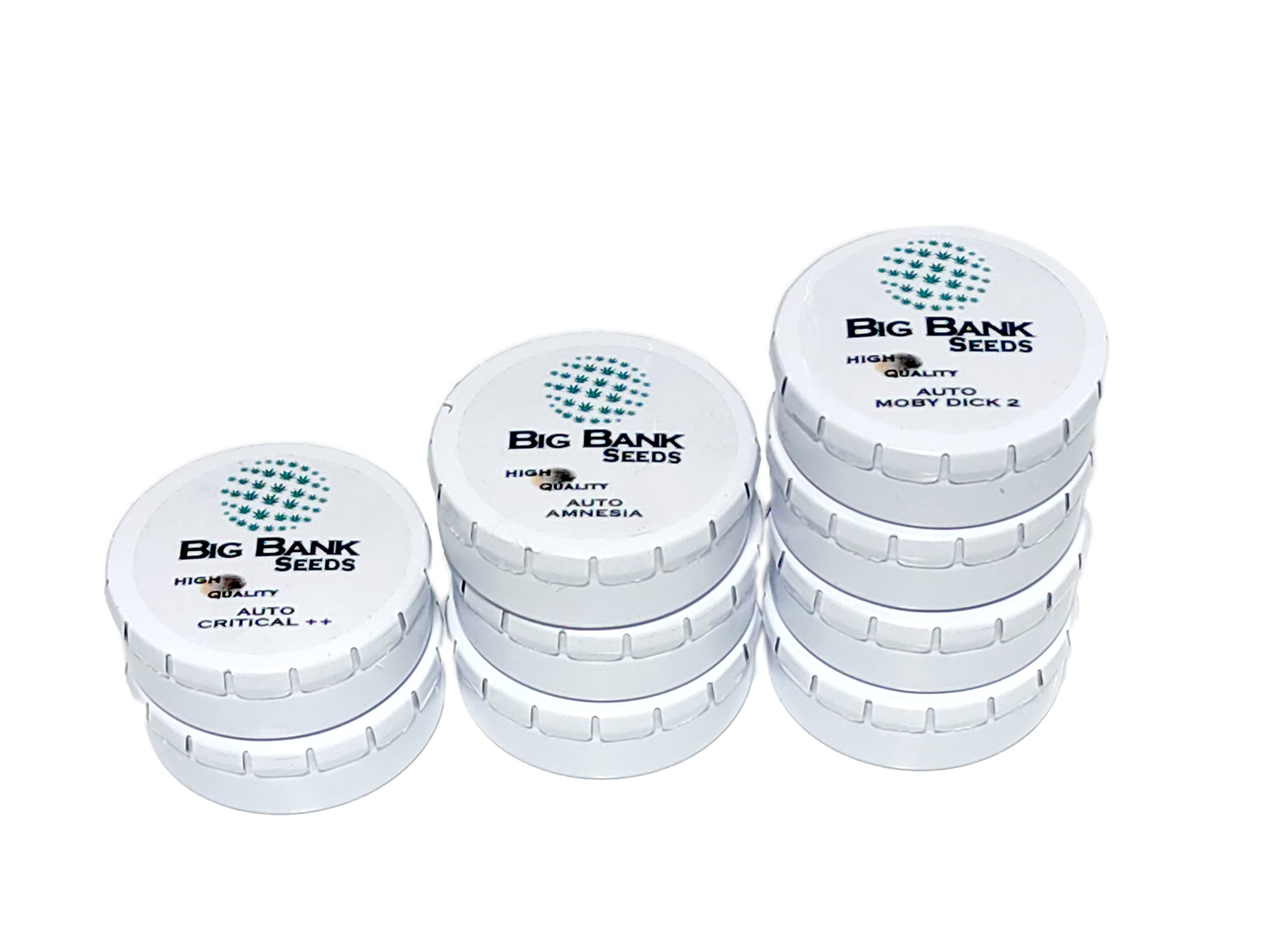Pack x3 Big Bank Seeds Auto Super Haze Fem. Exterior and Interior. Gift Manual.