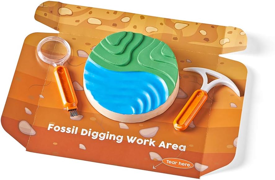 hand2mind Dig & Display Fossil Dig Kit, Fossil Display Case, 8 Real Fossils to Uncover, Dig Kits for Kids, Fossil Digging Kit for Kids, Excavation Kit for Kids, Fossil Science, Archeology Kits