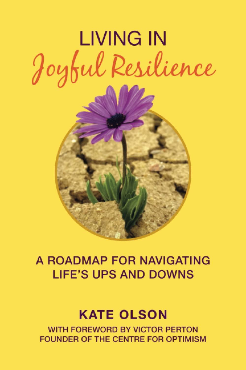 Living in Joyful Resilience: A Roadmap for Navigating Life’s Ups and Downs