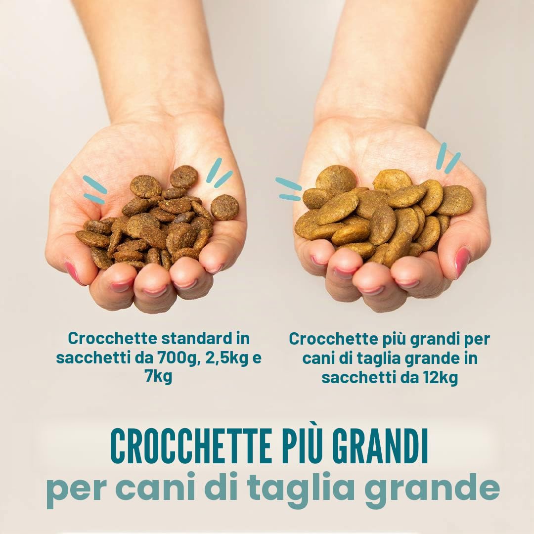Edgard & Cooper Cibo per cani secco, senza cereali, ipoallergenico, per cani, adulti, agnello naturale da 7 kg con molta carne fresca, cibo gustoso ed equilibrato, mono-proteina