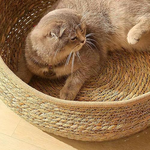 Rattan Katzenbett, 35cm Rund Katzenkorb, Handgefertigter Rattankorb Mit Baumwolle Kissen Plüsch, Für Alle Jahreszeiten