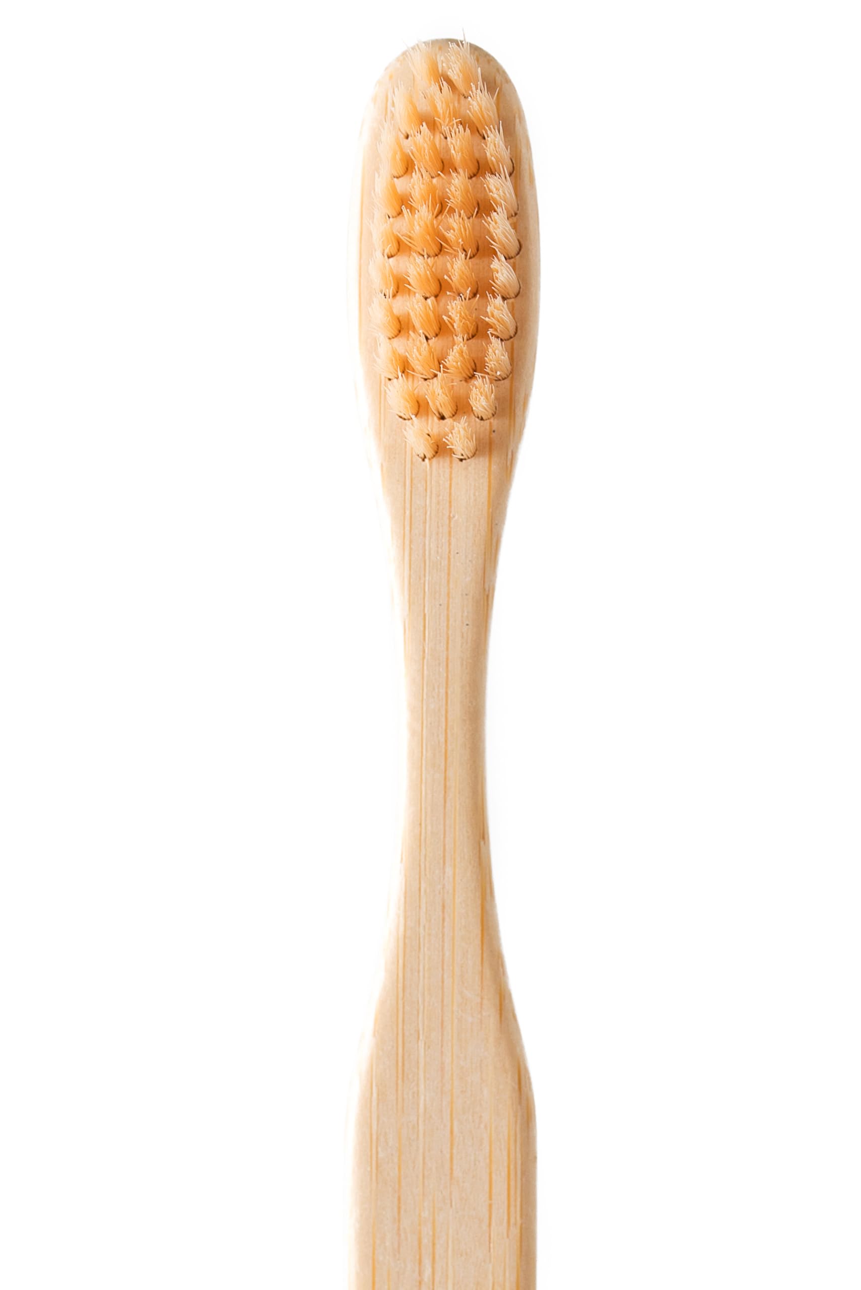 BambooIndia Bamboo Standard Toothbrush Manual | Pack Of 6 For Adults & Kids | Antibacterial & Biodegradable Handle | Natural & Eco-Friendly | Natural Colour Brush Set For Family - Image 4 thumbnail