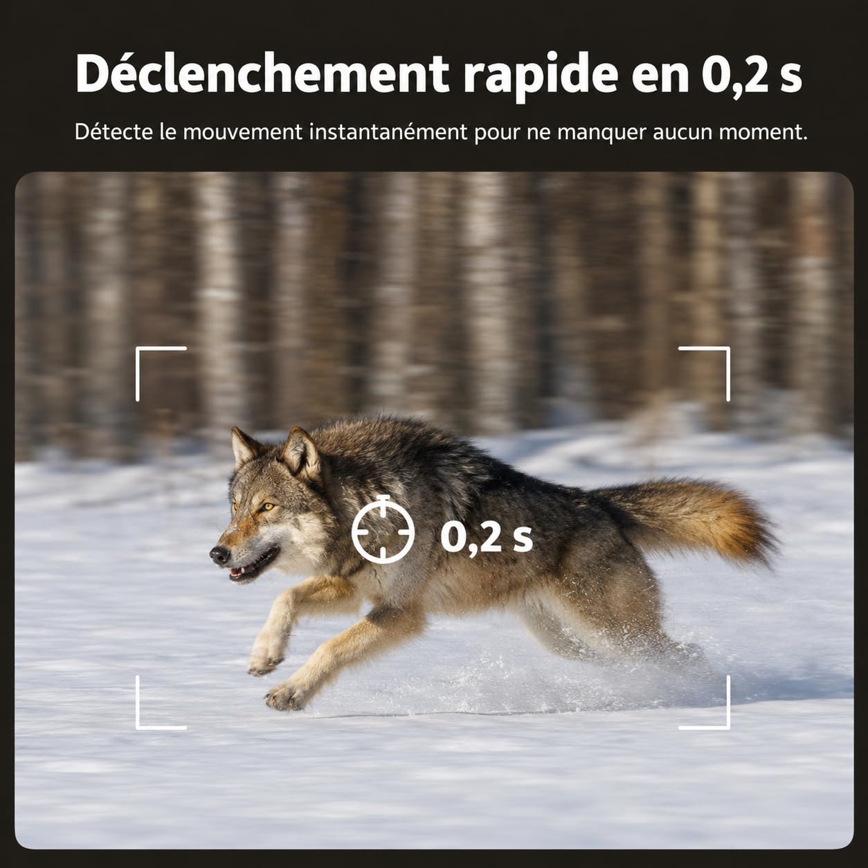 Caméra de Chasse 4G LTE Solaire avec Carte SIM, Caméra de Surveillance Extérieure sans WiFi, Batterie 10400mAh, Vision Nocturne IR Invisible 950nm, Audio Bidirectionnel, Déclenchement 0,2 s, IP66