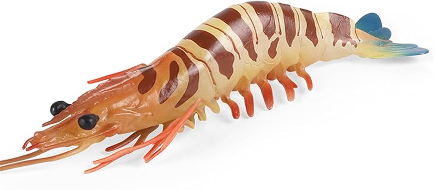 Amazon | BACALYSO | ウシエビ フィギュア エビ クルマエビ科 ウシエビ