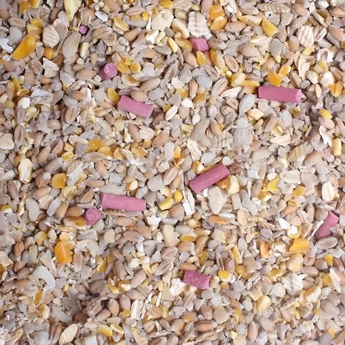 Leagrams Premium No Grow No Mess Wild Bird Seed Mix Husk-Free High-Energy Garden Bird Food (12.55kg) Bag