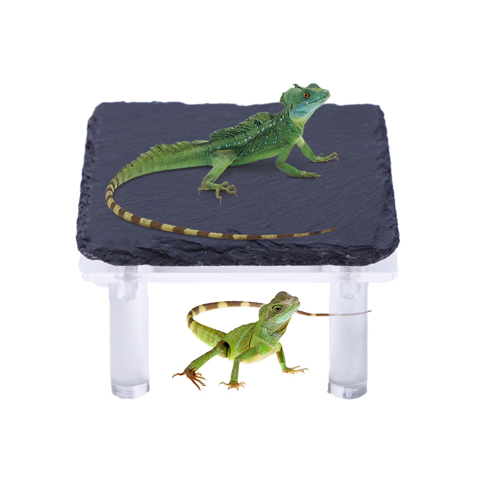 Rocher pour reptile et abri avec support acrylique pour dragon barbu