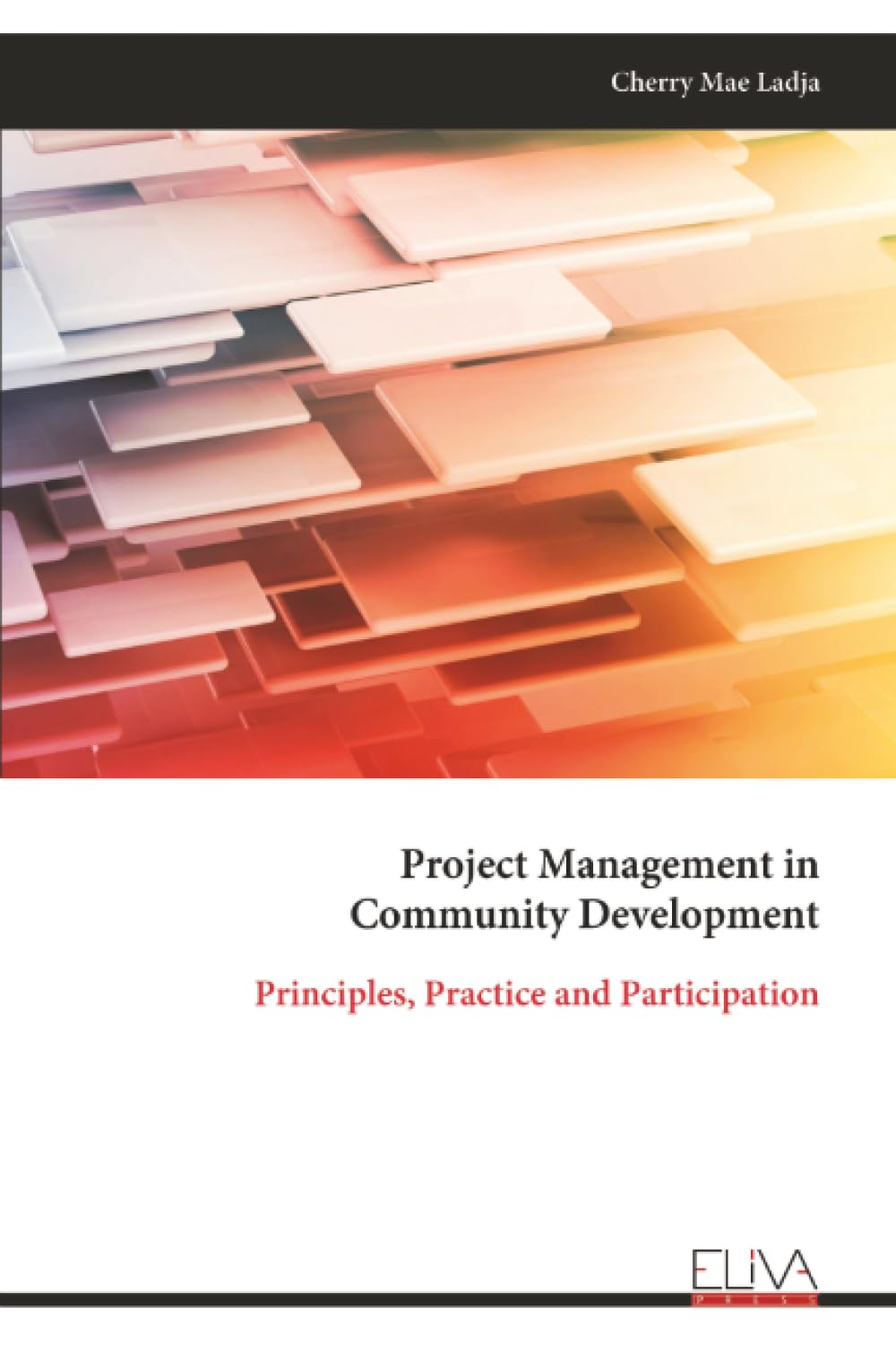 Project Management in Community Development: Principles, Practice and Participation