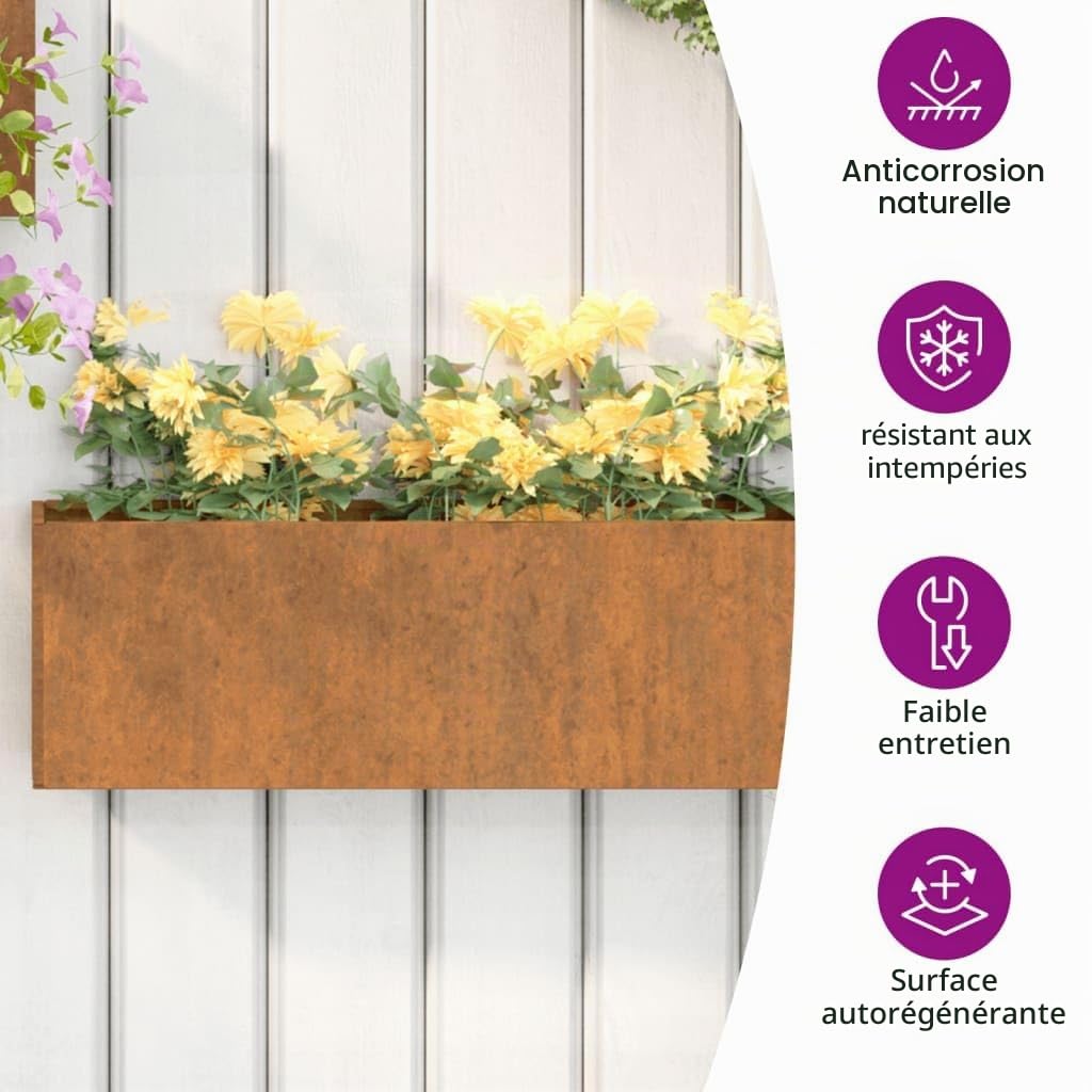 vidaXL Jardinières murales 2 pcs Rouillé Acier corten 53x10x17 cm