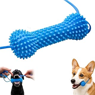 Dual-Action Canine Dental Prop, Dog Dental Chews Toy for Easier Teeth Brushing, Pet Oral Care for Small, Dog Mouth Opener for Medium and Large Dogs (1pcs)