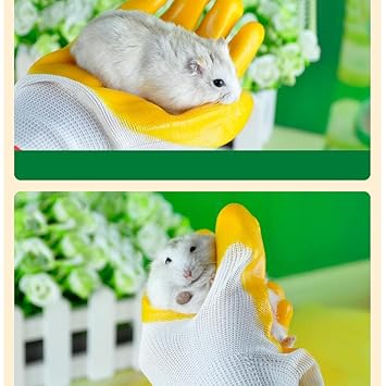 Maxbell Protective Gloves Bite-Proof for Hamster Bite - Blue Zebra-Stripe