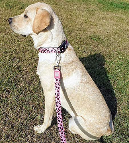 Max & Molly Gotcha! Hundehalsband Halsband Hund mit Smart ID, gepolstertes Neopren Halsband mit Design für mittelgroße Hunde, wasserdicht, bequem, verstellbar, Leopard Pink, M