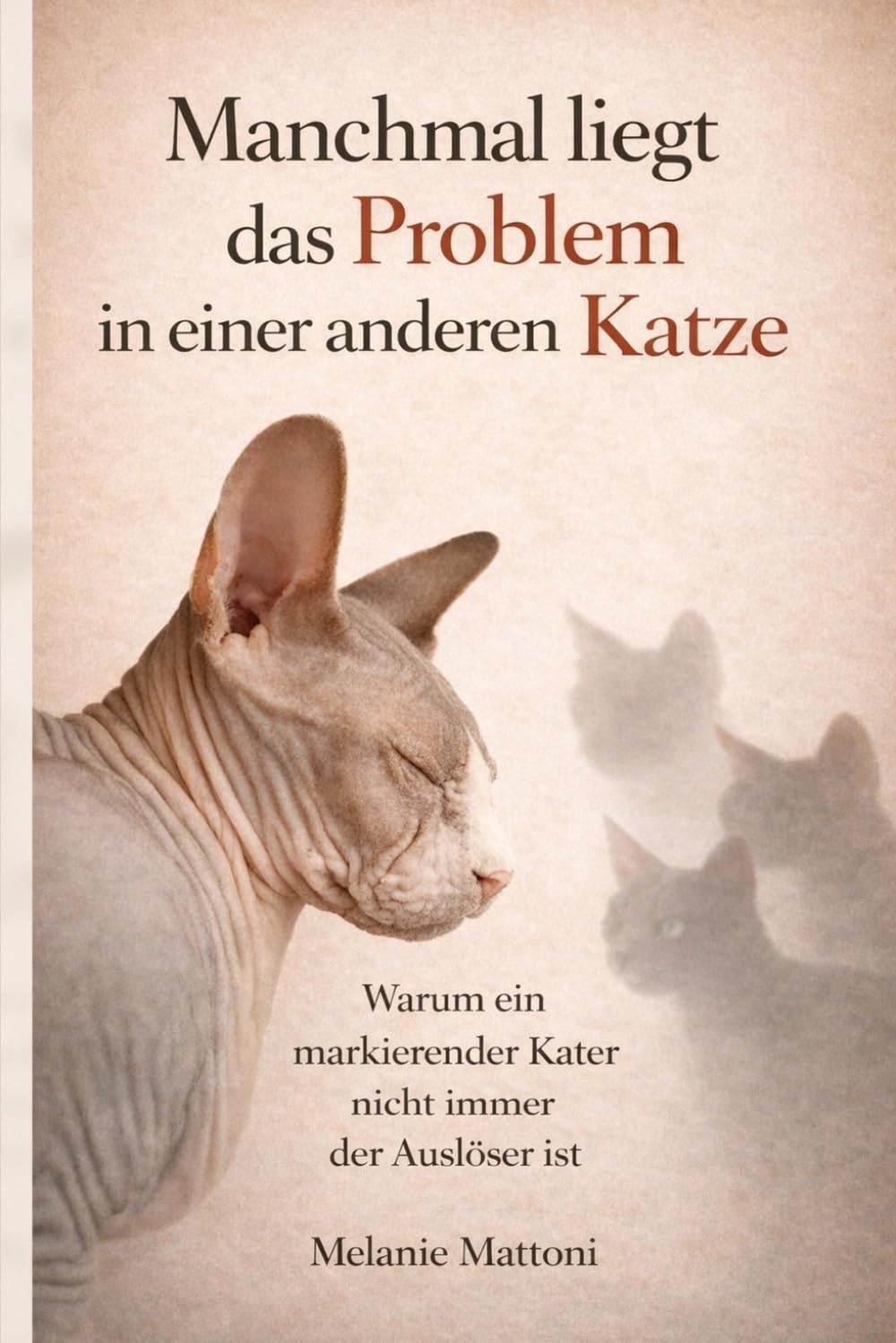Manchmal liegt das Problem in einer anderen Katze: Warum ein markierender Kater nicht immer der Auslöser ist